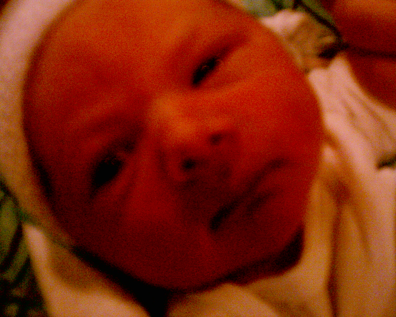 imag0081.jpg